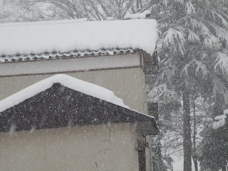 屋根雪を手の届く範囲で落とした