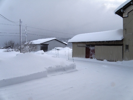 除雪後の庭先の様子