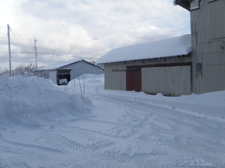 除雪後の庭先の様子