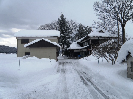 除雪後の庭先の様子