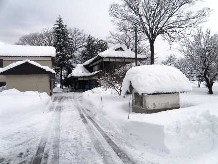 10日(月)の庭の雪