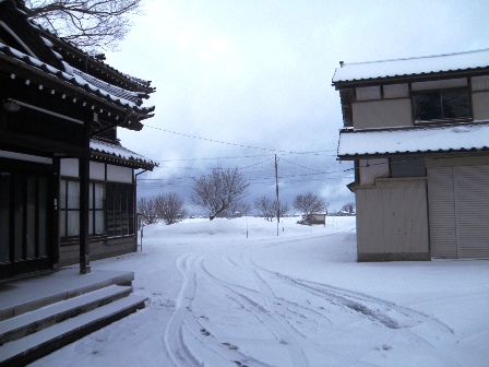 帰宅して撮影した庭先