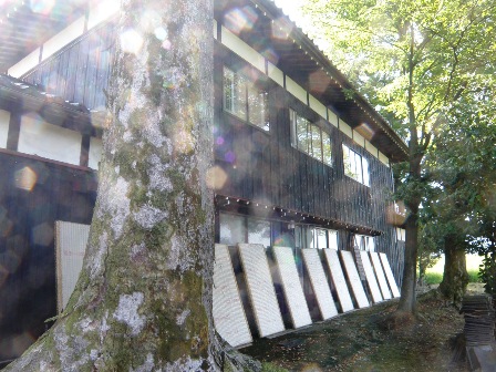 畳天日干し、今日