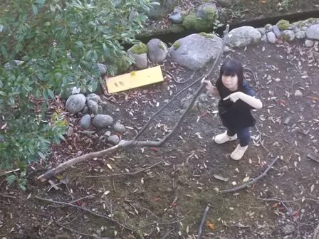 大きな枝